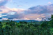Paisaje timbiano