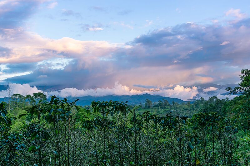 Paisaje timbiano