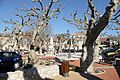 Place Noves