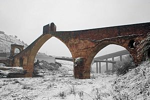 Puente del Diablo, Martorell, Catalonia, Spain. Pic 05.jpg