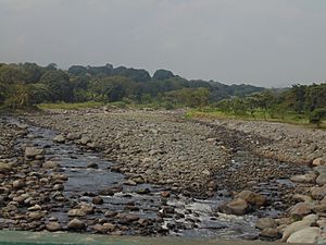 Archivo:Río de Yanga Ver.