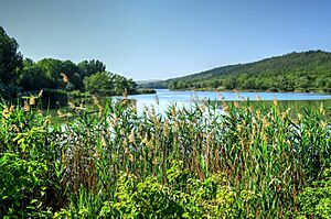Archivo:Rezervatia Iagorlic Dubasari (2)