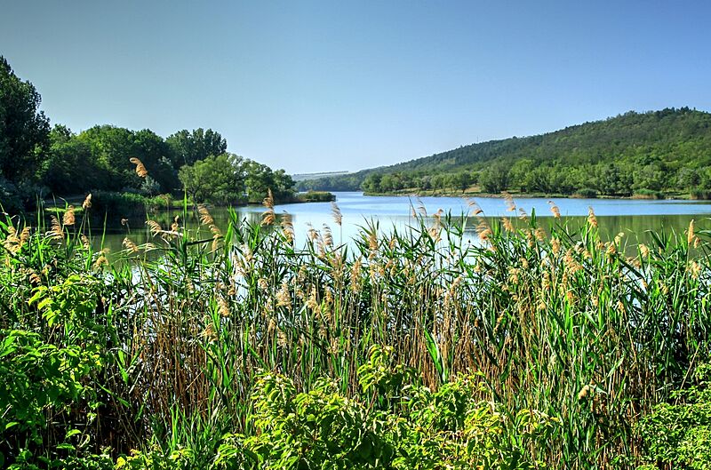 Rezervatia Iagorlic Dubasari (2)