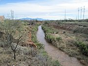 Santa Cruz River Sahuarita Arizona 2014 (2)