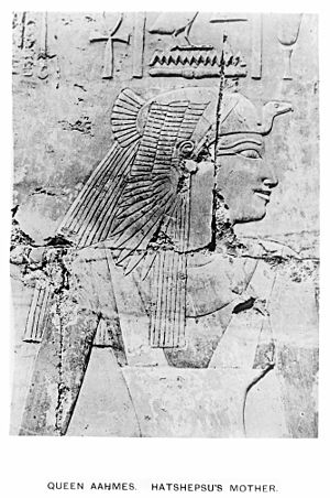 Archivo:Temple of Deir-El-Bahari, Queen Aahmes, Hatshepsu's mother Wellcome M0002694