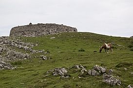 Torre de Urkulu.jpg