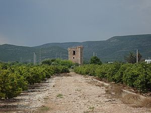 Archivo:Torre del Carmen (Cabanes)