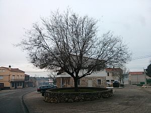 Archivo:Valdepeñas de la Sierra-Plaza del Olmo