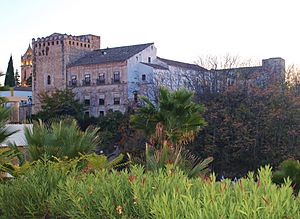 Vista del castillo de Cabra 4.jpg