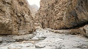 Archivo:Wadi Naqab - 13