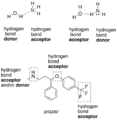 WikipediaHDonorAcceptor