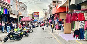 Archivo:Zona comercial textil Uriangato
