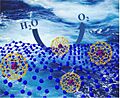 56-Alkaline oxygen evolution exploring synergy between fcc and hcp cobalt nanoparticles entrapped in N-doped graphene