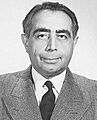 Ali Amini Portrait (cropped)