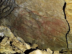 Archivo:Altxerri cave - Big Bison