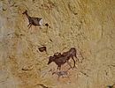 Animals de l'escena de caça de la cova dels Cavalls, reproducció al museu de la Valltorta
