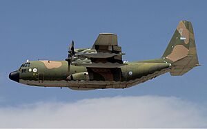 Archivo:Argentina Air Force KC-130H Hercules Lofting