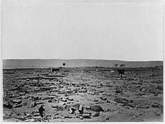 Arica Terremoto 1868