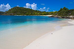 Archivo:Beach green island antigua 2015