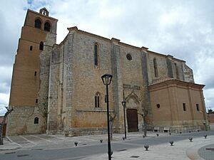 Archivo:BecerrilDeCampos20100118002313SAM 2489
