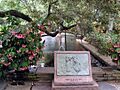 Bellingrath Gardens 1