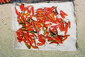 Archivo:Bhutanese chili