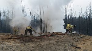 Archivo:Bomberos en Santa Olga, 2017 2