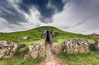 Bryn Ceilli Ddu.jpg