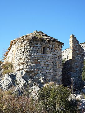 CASTELL DE CAMBRILS - IB-196.JPG