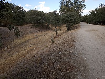 Archivo:Canal del Guadarrama y Camino de Sirga