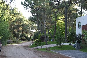 Archivo:Carilo (2)