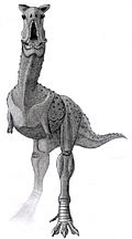 Archivo:Carnotaurus sastrei jmallon