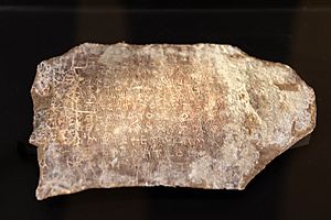 Archivo:Carta comercial griega. 530-500 a. C. Museo de Arqueología de Cataluña (MAC-Empúries)