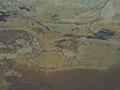Cavepaintings-loltun