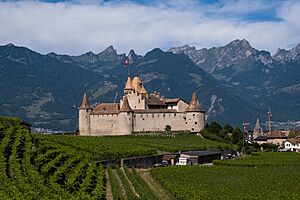 Archivo:Château d'Aigle 2022 (3)