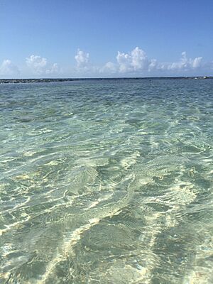 Archivo:Clear blue water
