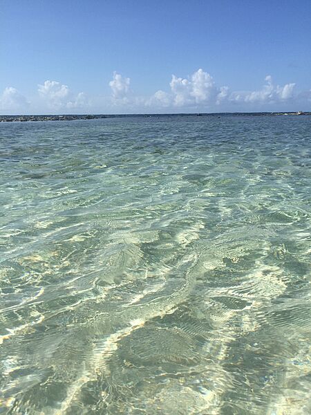 Clear blue water