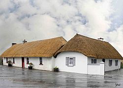 Clogh village, Co.Kilkenny and its thatched houses.jpg