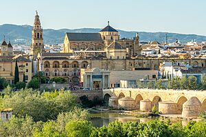 Archivo:Cordoba Cathedral 2024 - Views from Guadalquivir