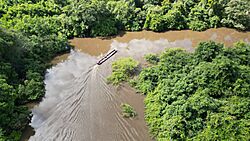 Curvas río Yacuma.jpg