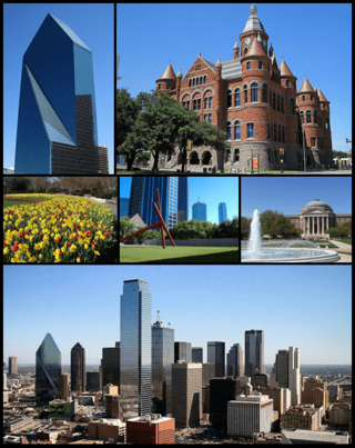 Dallas Montage 2014.png