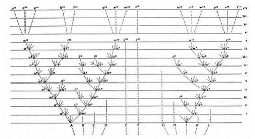 Archivo:Darwin's tree of life