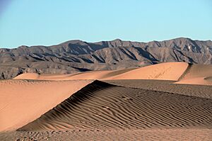 Archivo:Dunas de viesca, Coahuila