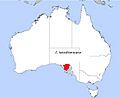 E. lansdowneana