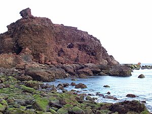 Archivo:El Burrero - Roque