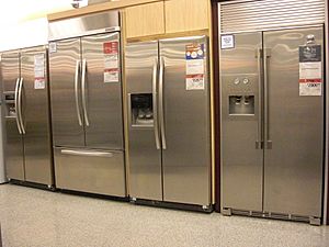 Archivo:ExpensiveRefrigerators