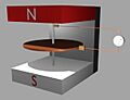 Faraday disc