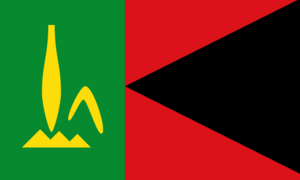 Archivo:Flag of the People's Provisional Government of Vanuatu (1977-1978)