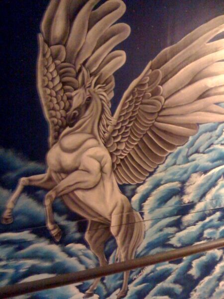 Frightened Pegasus