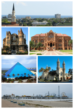 Galveston Collage.png